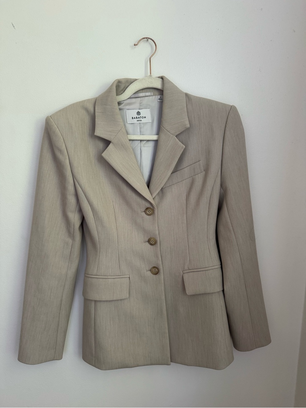 Aritzia Standout Blazer